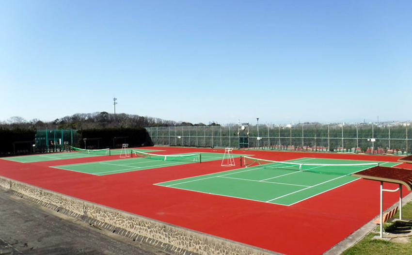 Park green spaces maintenance grant project cost  Tennis court surface upgrade work