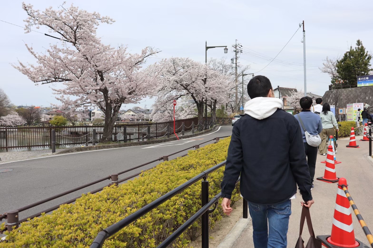 花見に行った時の写真です。